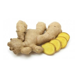 Đumbir Sveži Komad 500g