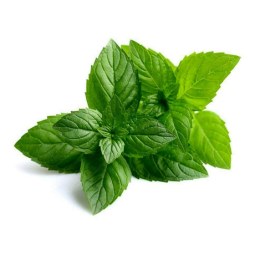 Sveža Nana Vezica 500g